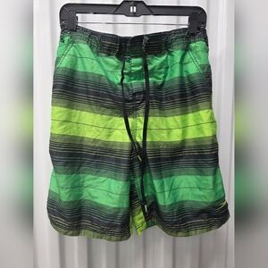 Speedo Men's Green and Black Striped Swim Shorts